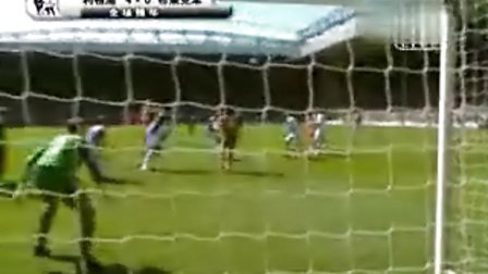 它们成了许 它们成了许